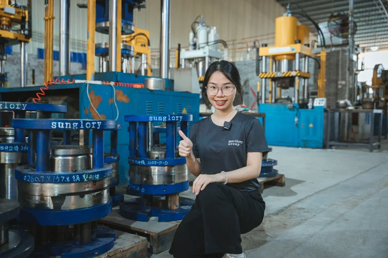 Deep Drawing 4 Column 200 250 300 400 500 600 800 1000 1500 Ton Four Pillar Hydraulic Press for Pots