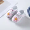 Powdery chrysanthemum-white
