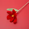 Ramo de tulipanes rojos, abierto y listo para disfrutar.