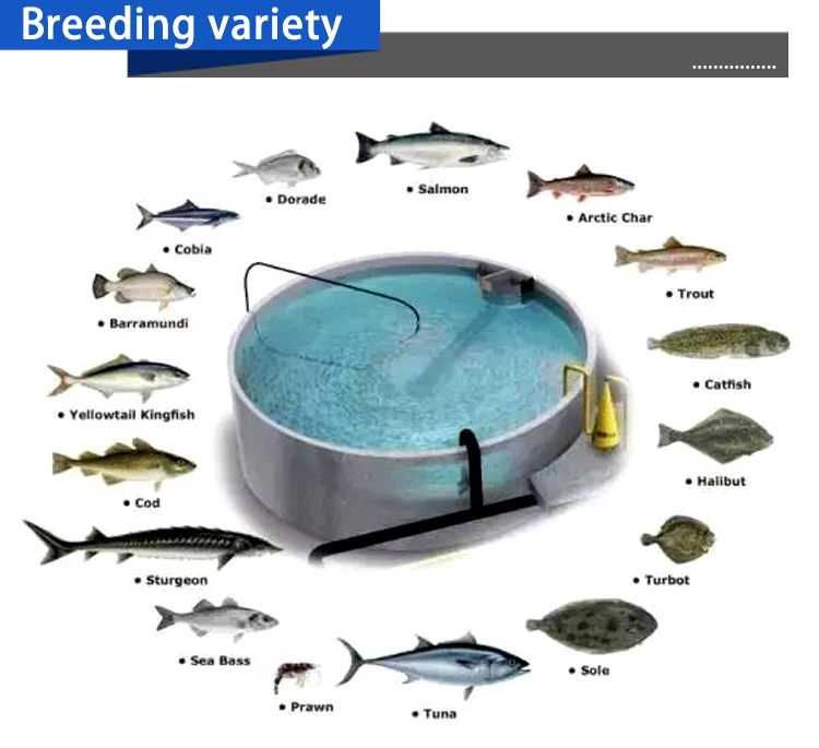 Fish Ras Dimensions Pisciculture Ras System Fishing Aquaculture Tanks Rotary Drum Filter ...