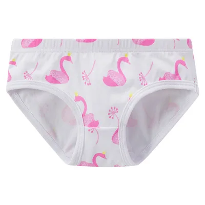 Girls' Cotton Brief Breathable Toddler Panties Kids Assorted