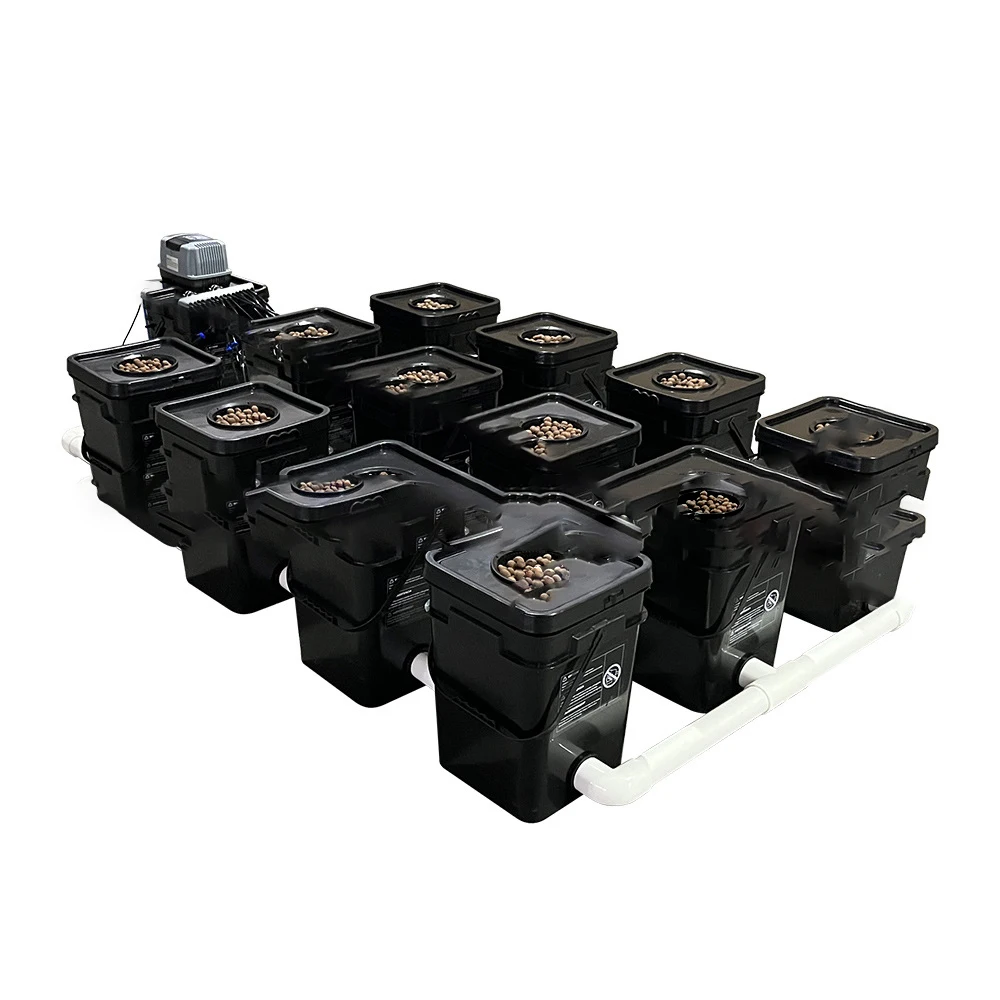 Recirculating Aquaponik Dutch Buckets Rdwc Systems. Bucket Pipe Dwc Hydroponic System Buy