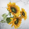 Fiore del sole 03