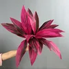 9 pezzi di foglie di banano rosse