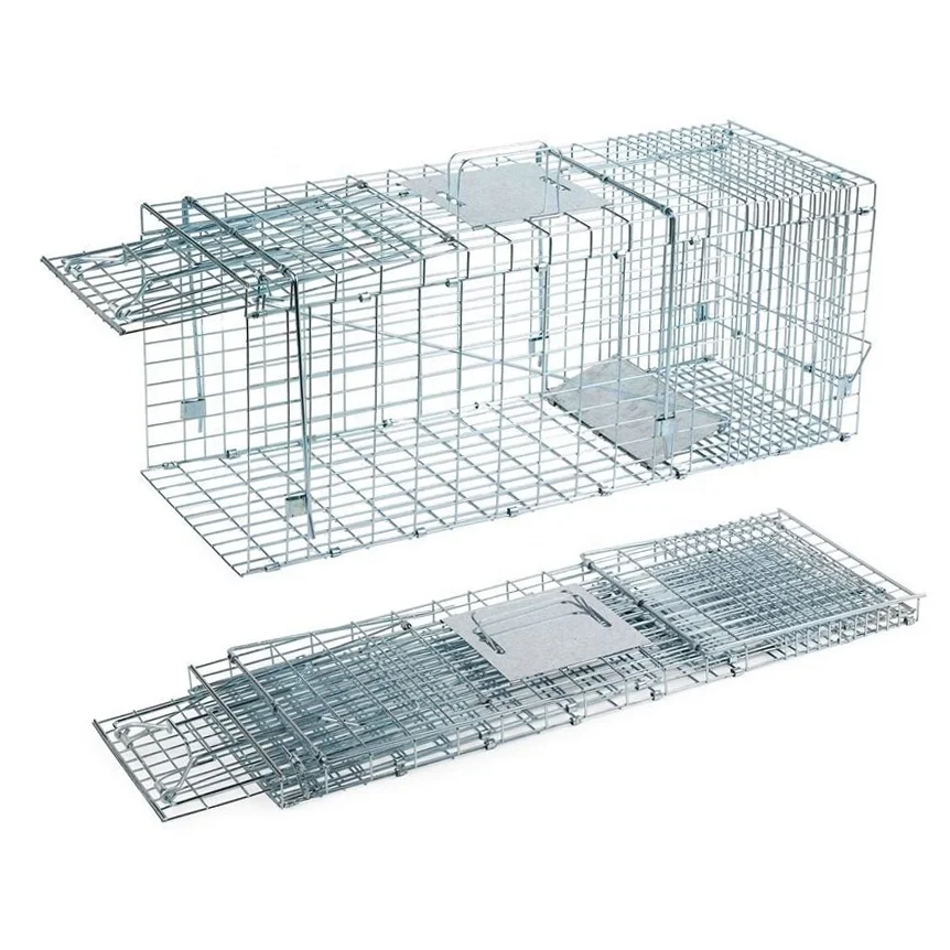 Galvanized Metal Folded Humane Live Animal Cage Trap Outdoor Rodent