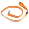 orange  leash