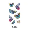 T-164