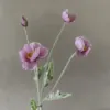 Fig light purple
