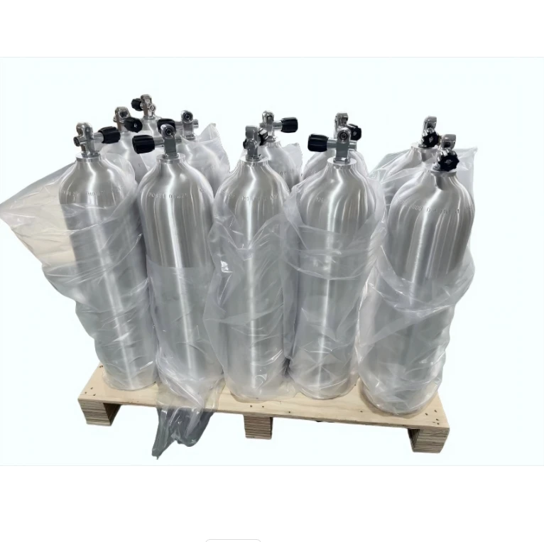 Portable Oxygen Air Dive Tank with Valve Gas Bottle 12L Scuba Diving Tank