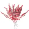 เคลือบสีแดง
