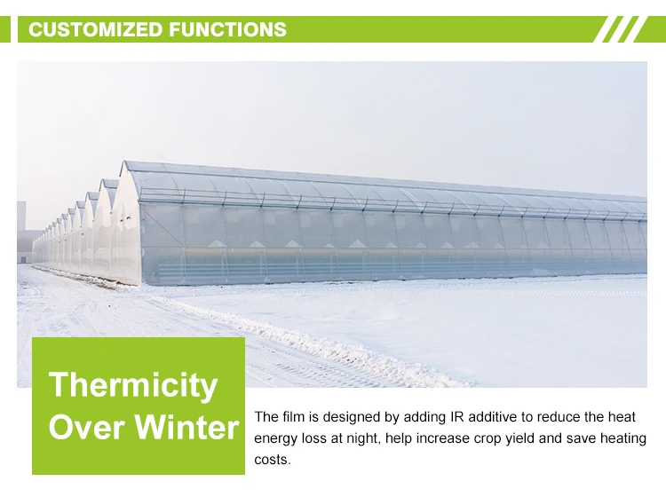 greenhouse film agriculture