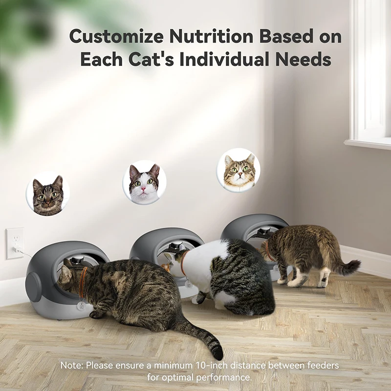 2025 Hot Automatic Cat Feeder Timed Smart Dog Food Auto Microchip Pet Feeder Wet and Cat Dry Food Dispenser with Collar Sensor