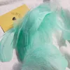 Menta