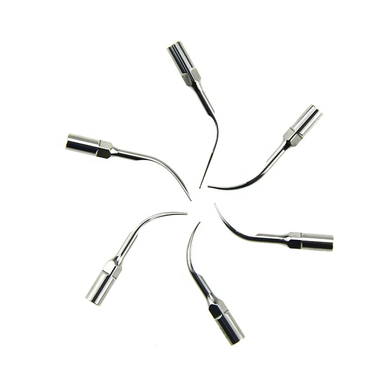 
 Стоматологический Ультразвуковой скалер ZOGEAR, наконечники от производителя  