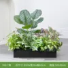 hc-Y60-7 es adecuado para jardineras de 60 cm.