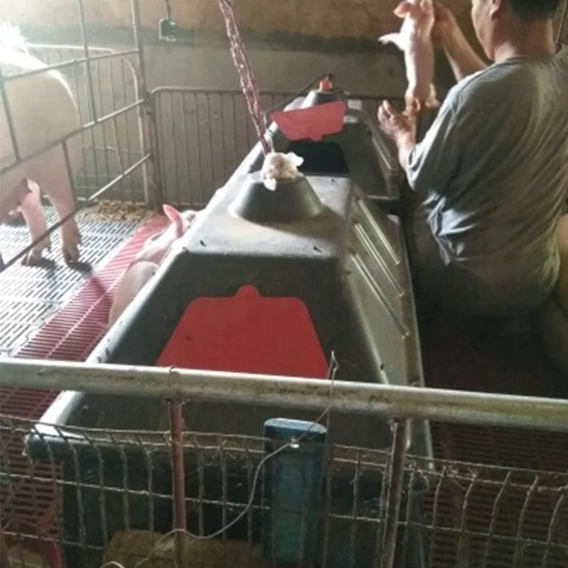 Incubator for Swine Piglet Baby Animal Heat Preservation Boxes Pig Farm Farrowing Crates Cooler Box