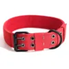 Red (single collar)