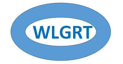 WLGRT Ignition Module 191905351B /191905351A for VW/AUDI/SEAT/LADA 175905351B