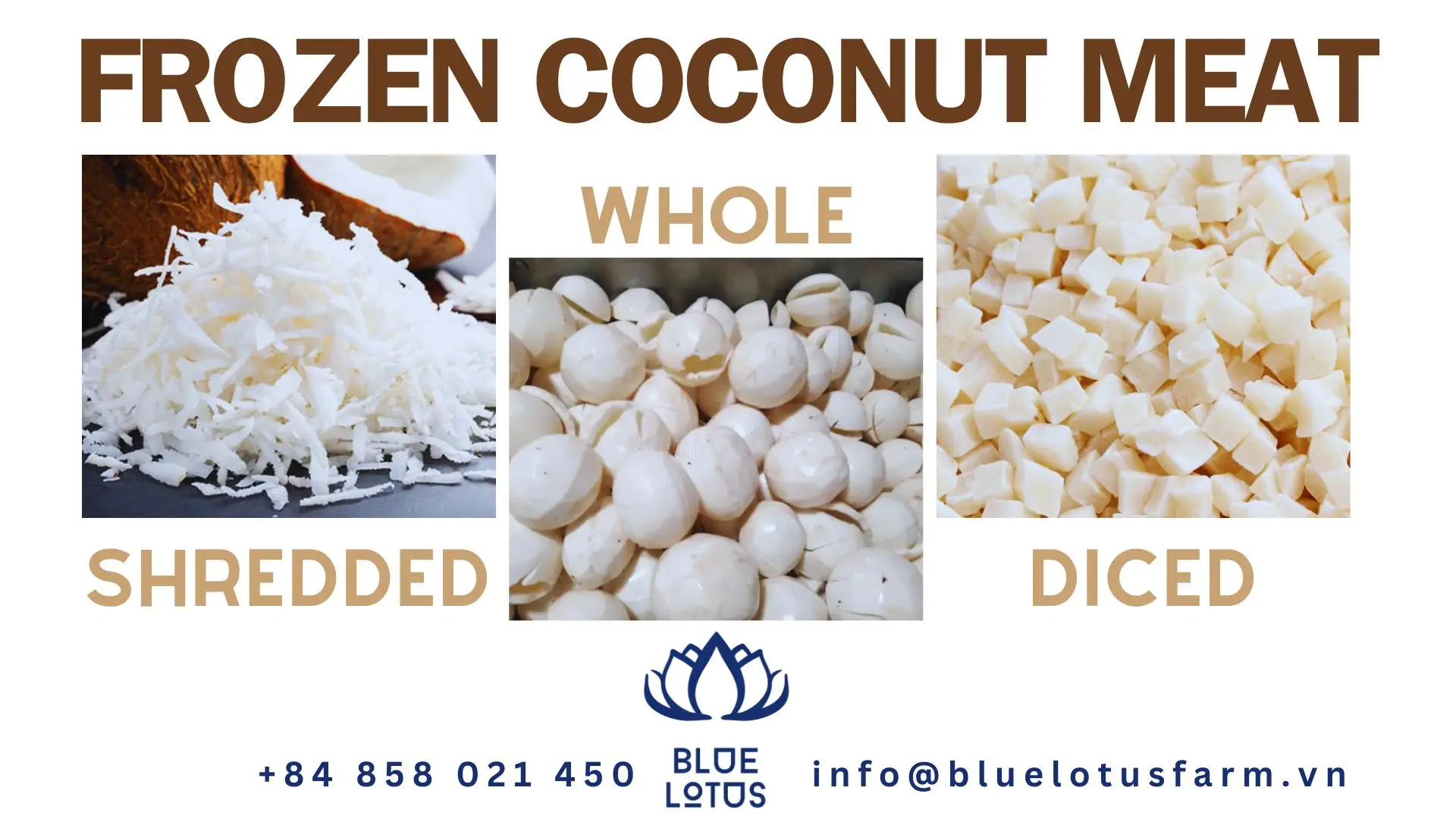 Best Bulk Buy 2024 Sliced,Shredded,And Cooked Whole Frozen Coconut Meat