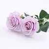 สีม่วง