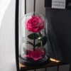 Rosa acceso