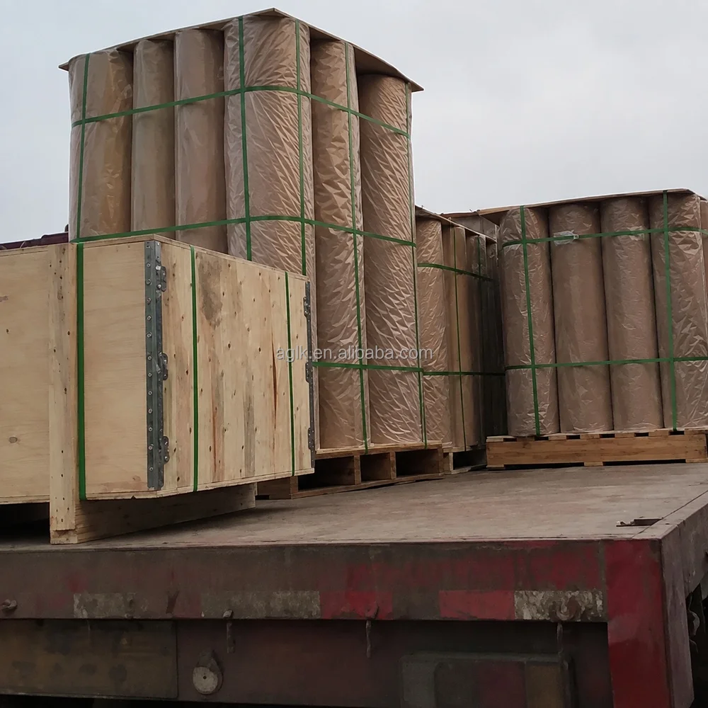 Hexagonal Wire Mesh Roll
