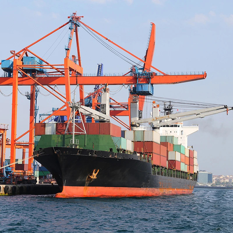 Professional International Agent From Guangzhou to Portugal Cheap Sea Freight Shipping