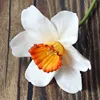 White with orange