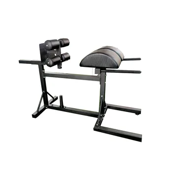 Roman Chair Reverse Hyper Extension Lower Back Strength Training ...