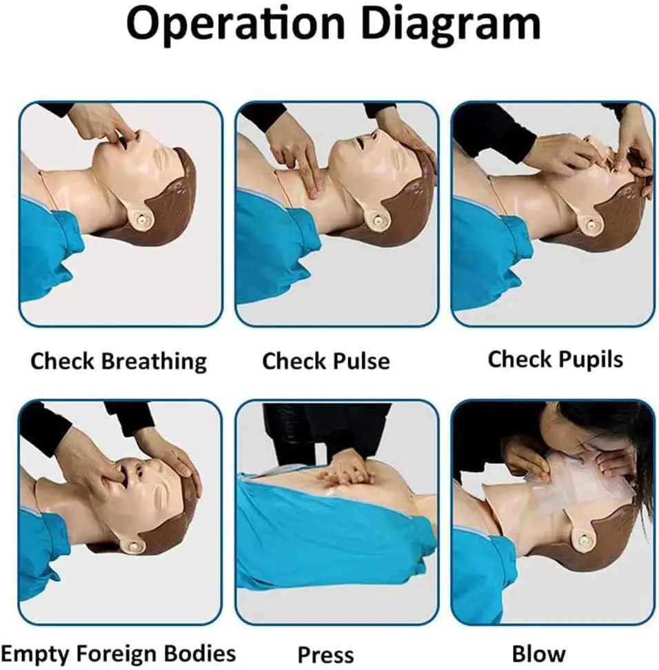 Half Body Cpr First Aid Training Manikin With Feedback Medical Model ...