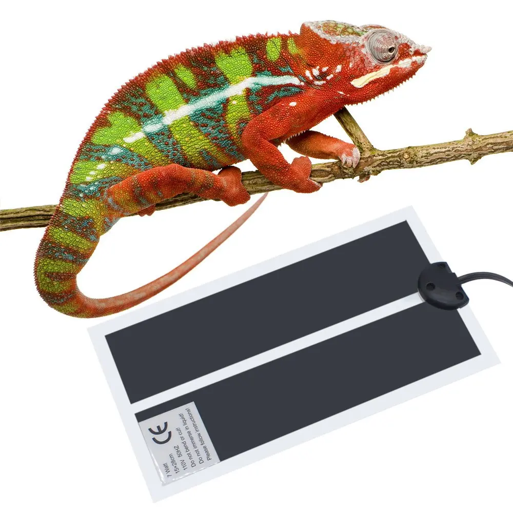 small reptile heating pad