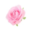 Rosa oscuro (pedir en múltiplos de 50)