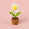 White  daisy potted plant  mini yarn pot