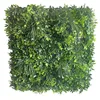 Verde Gardenia