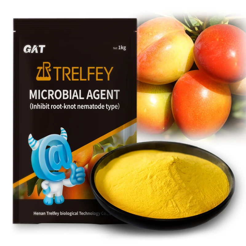 Bacillus Subtilis Trichoderma Highly Active Beneficial Microorganisms for Control Root Knot Nematodes