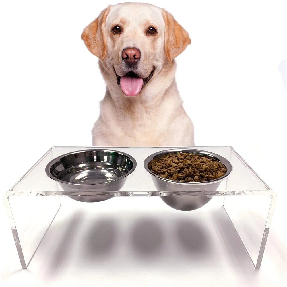 Acrylic dog outlet feeder