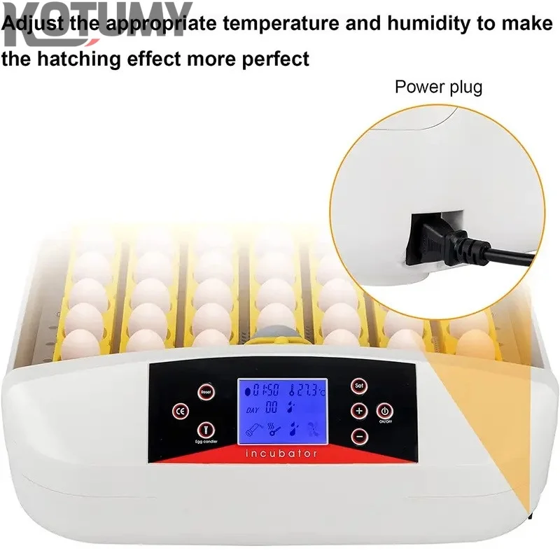 Cross Flow Fans, 56-Egg, 220V - detail 6
