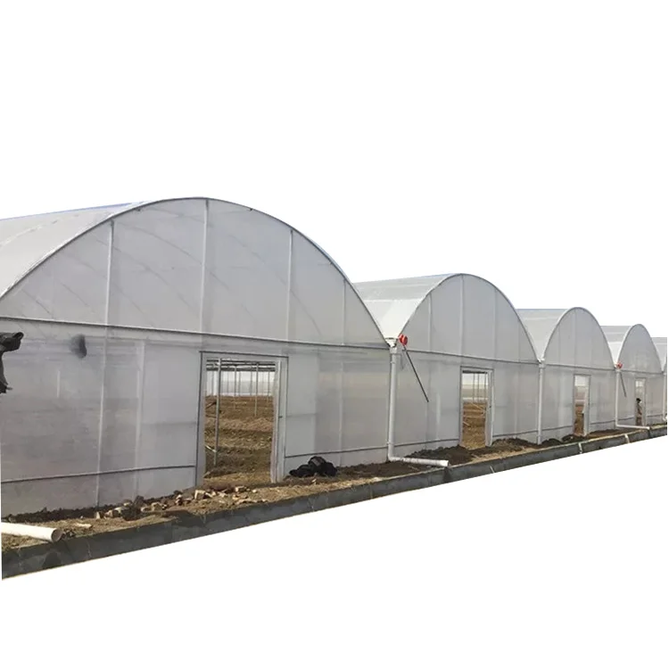 Factory Direct 1000M2 Greenhouse Smart English Design with PVC and Film Material
