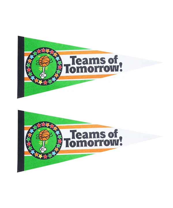 Sport Felt Banner / Felt Pennants / Custom Advertising Felt Pennant Flag