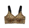 Golden Leopard