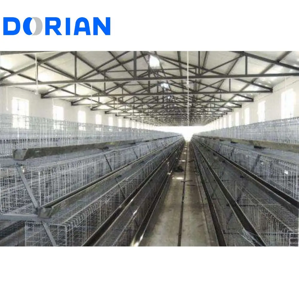 New Design Small Prefab Steel Structure Egg Chicken Poultry Farm Building for 5000 Chicken