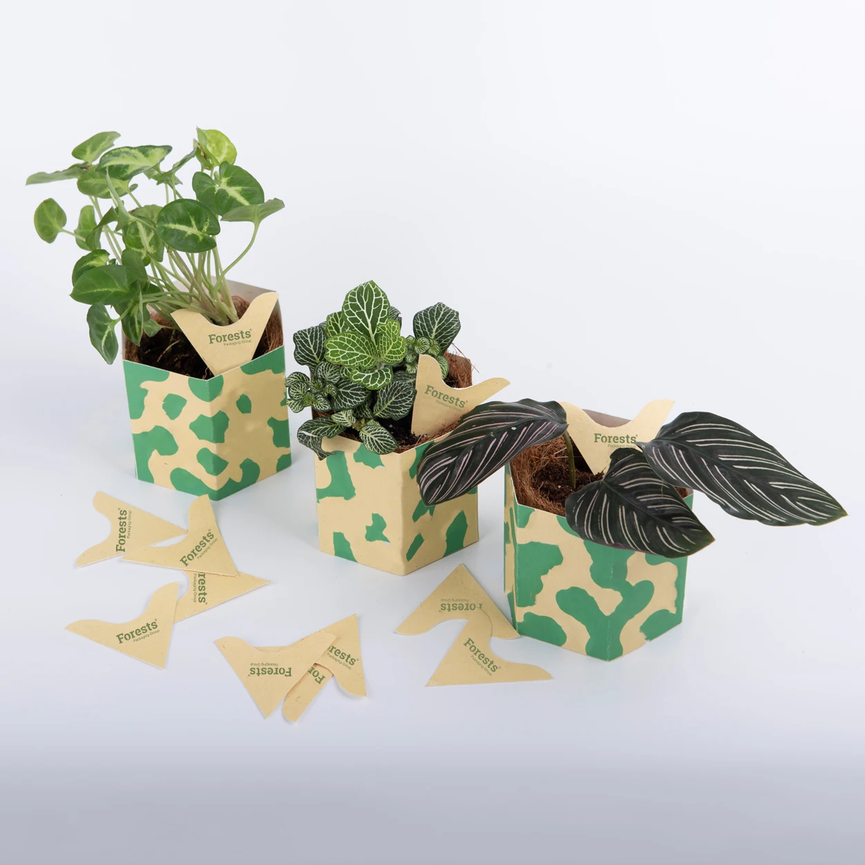 Cardboard Corrugated Packaging Box Brown Plantable Flower Greens Paper ...