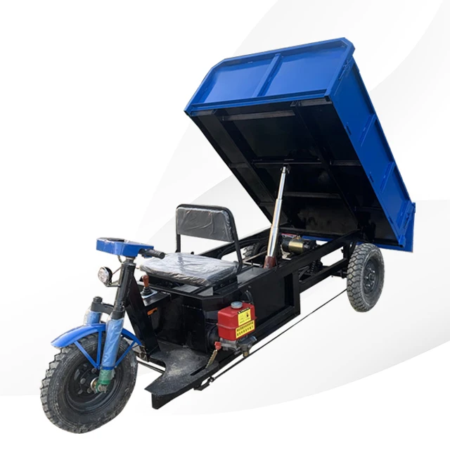 BR-3000 Tricycle Efficient Cargo Transport Solutions