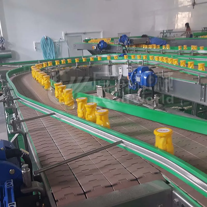 LWT Automatic Packaging Machine for Canned Fruit Cucumber Artichoke Lychee Olive Apricot Processing Line