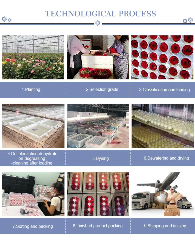 Cheapest Flowers Preserved Fresh Flower Eternal Rose In Acrylic Box