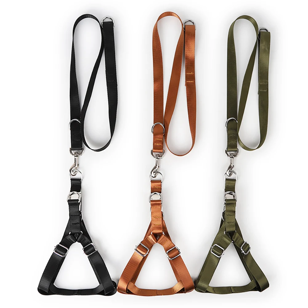 petstock dog lead