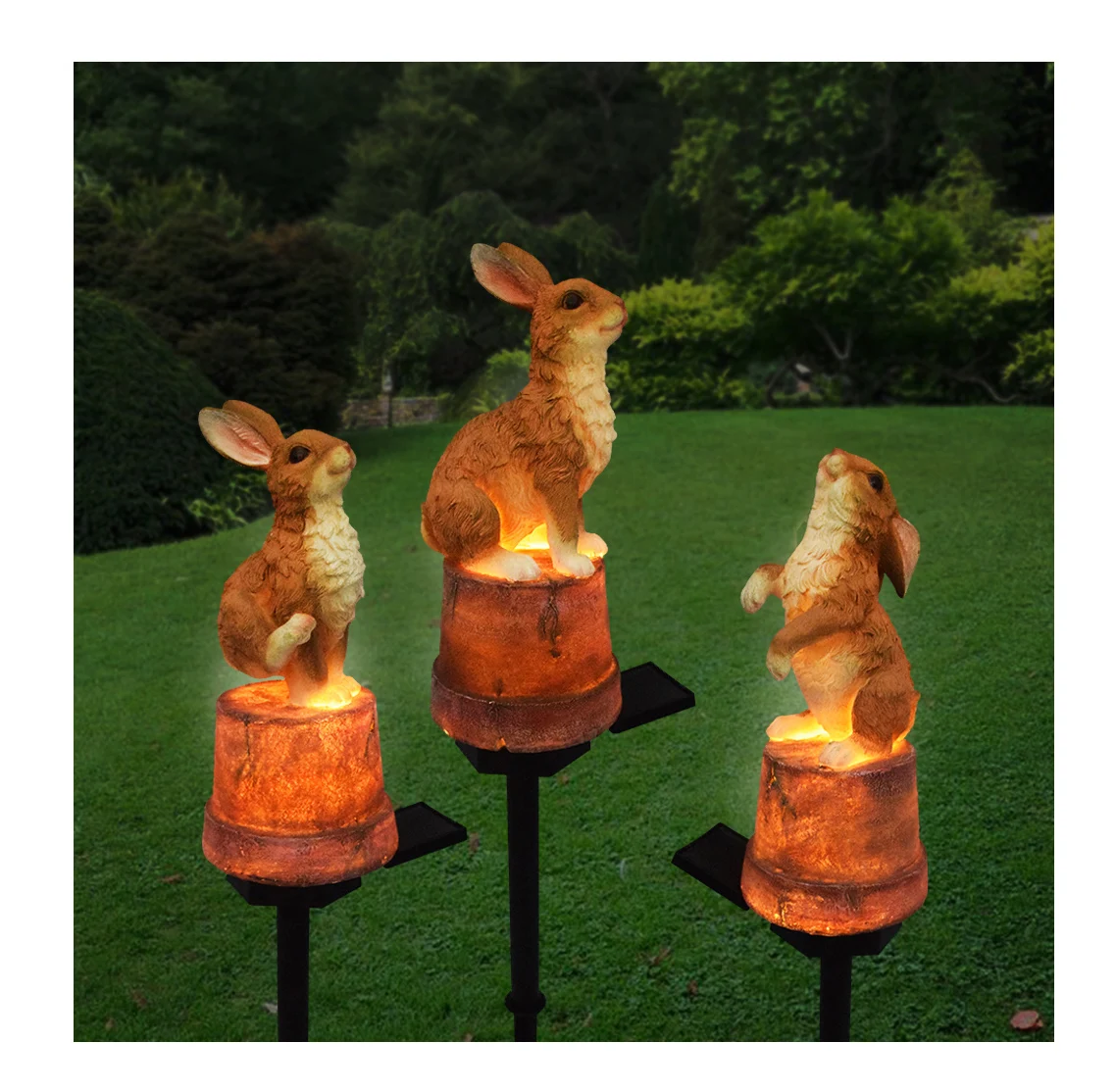 hare solar light