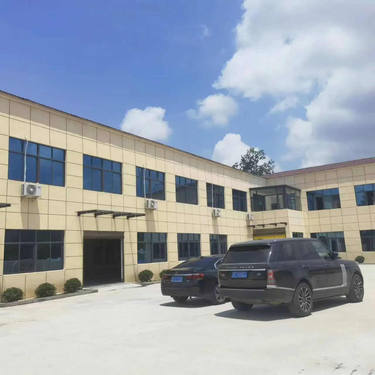 Disposable Rectal Syringe Applicator supplier