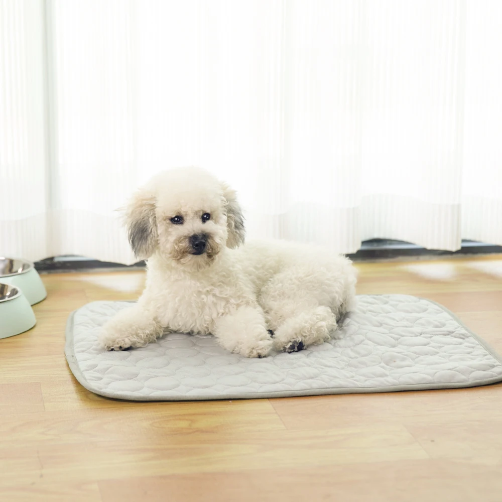 Wholesale Summer Cool Pet Pad Puppy Training Pee Pads for Dogs details