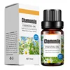 chamomile